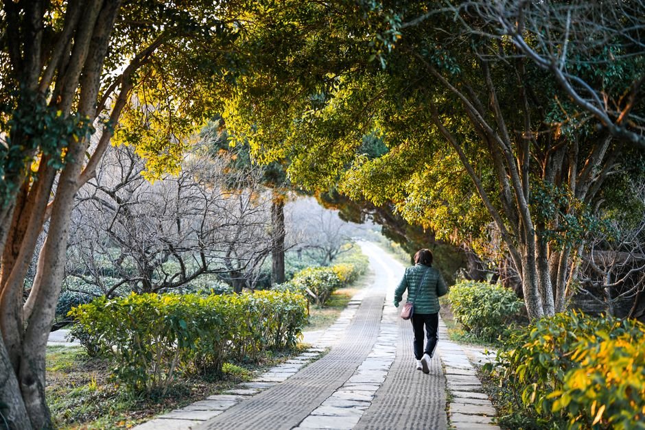 A person in everyday clothes walking briskly along a tree-lined park path